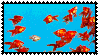 goldfish swimming